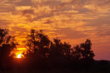 Yaz manzarası fotoğrafı, Şafak vakti gün batımı güzel boyalar gökyüzü, pastel gölgeler, batan güneşin gölgesindeki ağaçlar.