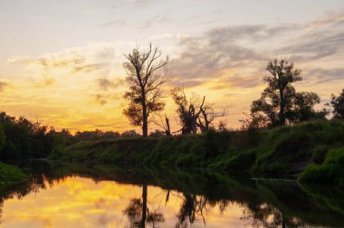 Yaz manzarası fotoğrafı, Şafak vakti gün batımı güzel boyalar gökyüzü, pastel gölgeler, batan güneşin gölgesindeki ağaçlar.