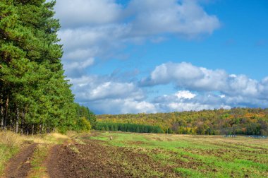 Sonbahar manzara fotoğrafı. Avrupa 'nın düz bitki örtüsü. Çayırlar, vadiler, çalılıklar, açık yaprak döken veya karışık ormanlar. Eylül 'de Meadows