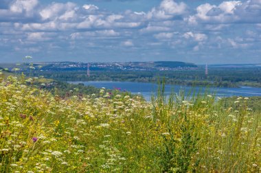 Yaz manzarası, bir kanaldan denize, bir göle ya da başka bir dereye akan büyük bir doğal su akıntısı. Sel, nulla, sıvı, ford. Yüksek tepe kıyıları