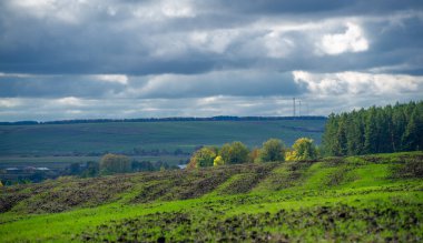 Sonbahar manzara fotoğrafı. Avrupa 'nın düz bitki örtüsü. Çayırlar, vadiler, çalılıklar, açık yaprak döken veya karışık ormanlar. Eylül 'de Meadows