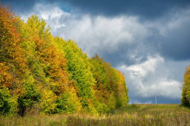 Sonbahar manzara fotoğrafı. Avrupa 'nın düz bitki örtüsü. Çayırlar, vadiler, çalılıklar, açık yaprak döken veya karışık ormanlar. Eylül 'de Meadows