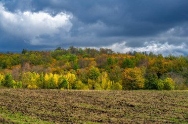 Sonbahar manzara fotoğrafı. Karışık ormanlar, çayırlar, vadiler, bulutlu gökyüzü, harika bir mevsim..