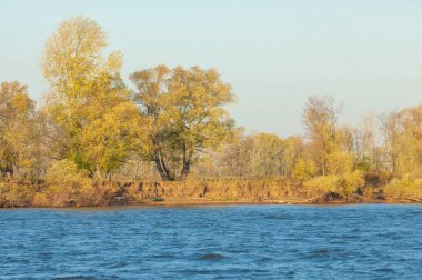Sonbahar manzarası, koyu mavi su, son sıcak günler, nehir, ağaçlar, rüzgarlı hava, sarı-kırmızı sonbahar yaprakları.