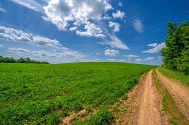 Yaz manzarası, toprak yol, yolu oluşturan sarı kil.