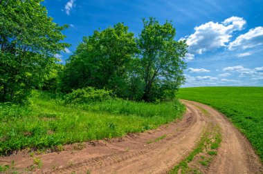 Yaz manzarası, yeşil yonca, çiftlik hayvanları, toprak yol, yolu oluşturan sarı kil.