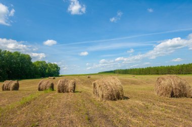 Yaz manzarası, saman yapım, saman tarlaları kocaman, yuvarlak saman balyaları. Bu çok daha az insan stresi ile büyük miktarda saman depolamak için kompakt bir yoldur..