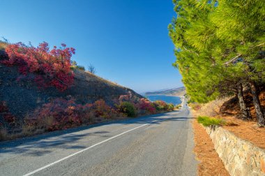 Kırım Yarımadası 'nın sonbahar fotoğrafları, Eski Otoyol, Eski Yol' un cazibesi,