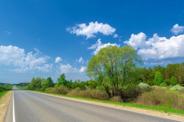 Geniş açılı mercek, yerel otoyol, parlak yeşil ağaçlar, mavi gökyüzündeki bulutlar...