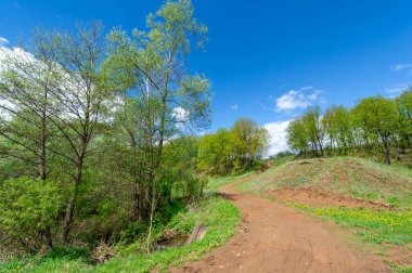 İlkbahar fotoğrafçılığı, tarlalar, çayırlar, ilkbahar güzelliği vadilerin, beyaz kabarık bulutların içindeki muhteşem mavi gökyüzü, dünya kış soğuğundan sonra uyanıyor.