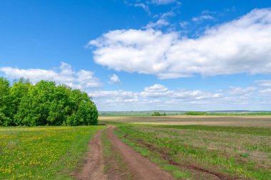 İlkbahar fotoğrafçılığı, tarlalar, çayırlar, ilkbahar güzelliği vadilerin, beyaz kabarık bulutların içindeki muhteşem mavi gökyüzü, dünya kış soğuğundan sonra uyanıyor.