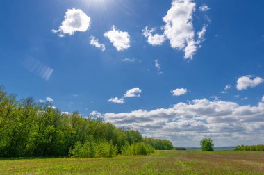 İlkbahar fotoğrafçılığı, tarlalar, çayırlar, ilkbahar güzelliği vadilerin, beyaz kabarık bulutların içindeki muhteşem mavi gökyüzü, dünya kış soğuğundan sonra uyanıyor.