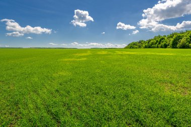 Kış tahılları, ayrıca kış tahılları, güz tahılları veya sonbahar ekili tahıllar olarak da bilinir, sonbaharda ekilen iki yıllık tahıllardır.. 