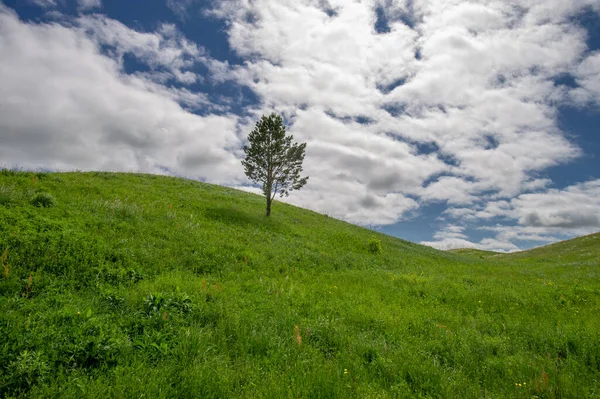 Bahar fotoğrafçılığı, çayırlar, tarlalar, vadiler, tepeler, kırsal alanlar. Dik yamaçlı, derin, dar bir vadi..