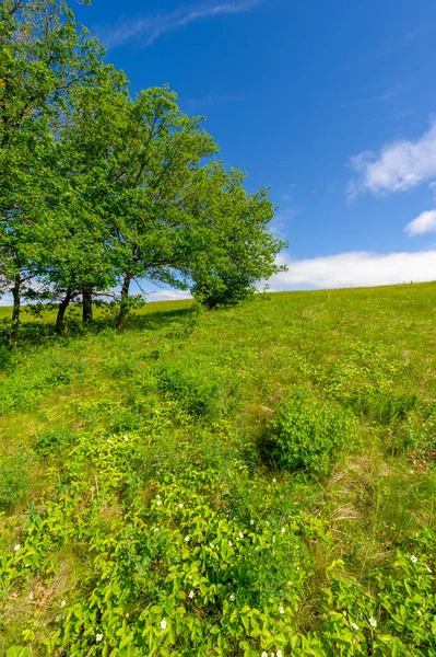Bahar fotoğrafçılığı, çayırlar, tarlalar, vadiler, tepeler, kırsal alanlar. Dik yamaçlı, derin, dar bir vadi..