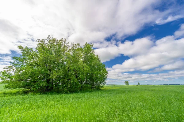 Bahar fotoğrafçılığı, çayırlar, tarlalar, vadiler, tepeler, kırsal alanlar. Dik yamaçlı, derin, dar bir vadi..