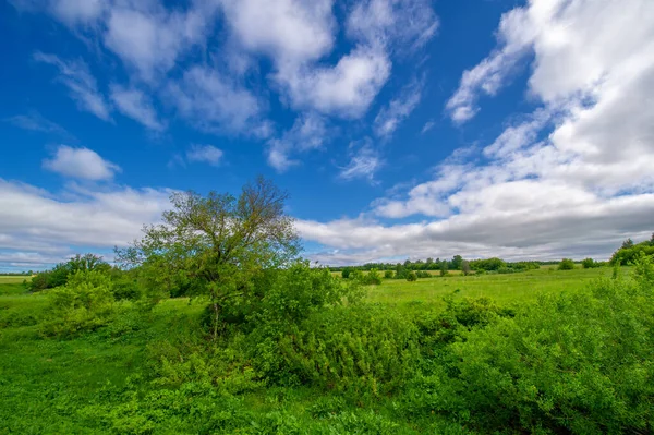 Vårfotografering Ängar Åkrar Raviner Kullar Landsbygdslandskap Djup Smal Ravin Med — Stockfoto