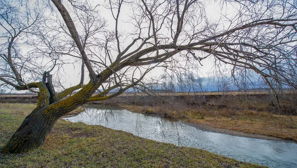 Sonbahar Kış Manzarası Kasım Sonuna Kadar Üzücü Kasvetli Bir Mevsim — Stok fotoğraf