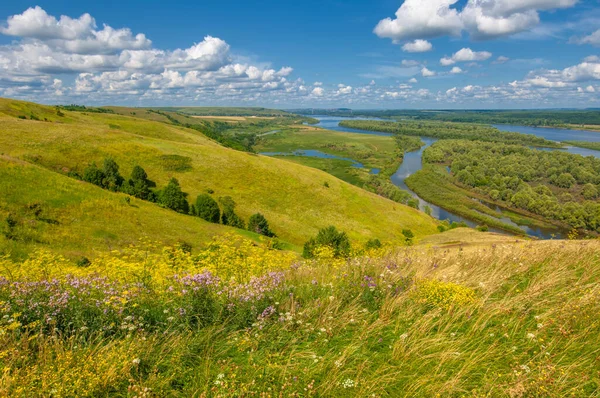 Yaz manzarası, bir kanaldan denize, bir göle ya da başka bir dereye akan büyük bir doğal su akıntısı. Sel, nulla, sıvı, ford. Yüksek tepe kıyıları