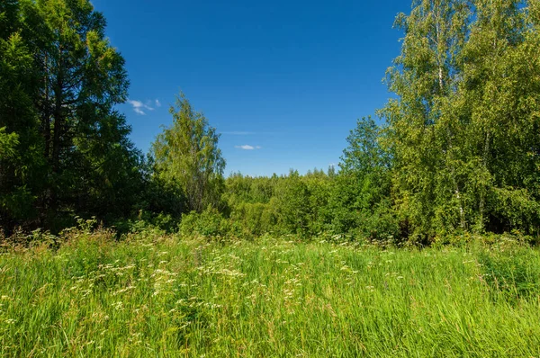 Sommarbilder Kulle Kullar Björkar Växer Sluttningarna Bergen Slingrande Grusväg Längs — Stockfoto