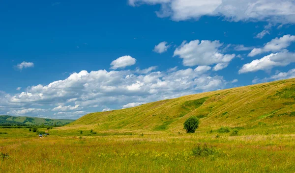 Paesaggio Estivo Pianura Alluvionale Fluviale Sponde Pittoresche Erba Verde Brillante — Foto Stock