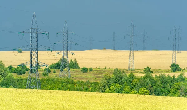 Summer Photo Wheat Field Power Poles Power Support Steel Transmission — Stock Photo, Image