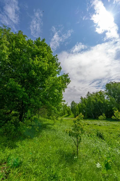 Spring photography, landscape with a cloudy sky. water meadows, floodplains, ravines. an area of low-lying ground adjacent to a river, formed mainly of river sediments and subject to flooding