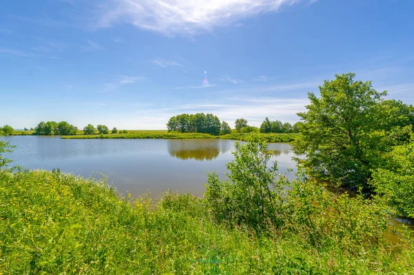 stock image summer landscape, sultry summer days, a lake with warm water, hazel Corylus - living in the temperate northern hemisphere. bushes