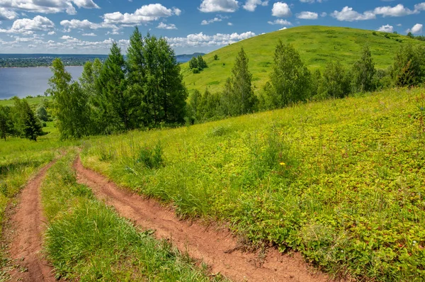 Summer photography, water meadows, river floodplain, photograph taken from the mountain. Lush green grass, pine, birch, hazel grow along the edge of the river. hot summer days