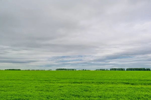 céu azul claro hdri 360 panorama em projeção perfeita com zênite