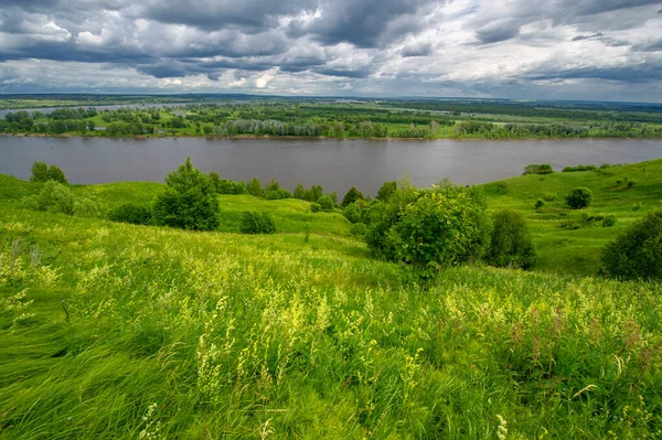 Літній Пейзаж Велика Повноводна Річка Лугові Квіти Берегах Річки Могутні — стокове фото