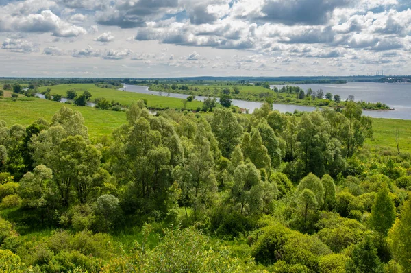 Sommerfotografie Wasserwiesen Flussaue Fotografie Vom Berg Aus Saftig Grünes Gras — Stockfoto