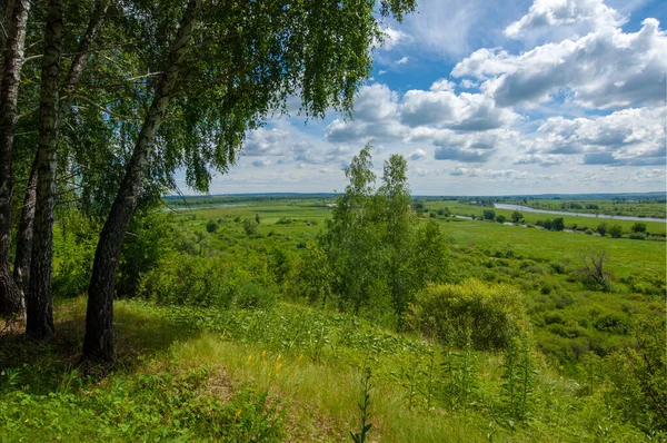 Sommarfotografi Vattenängar Flodslätt Fotografi Tagen Från Berget Grönt Gräs Tall — Stockfoto