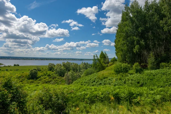 Summer photography, water meadows, river floodplain, photograph taken from the mountain. Lush green grass, pine, birch, hazel grow along the edge of the river. hot summer days