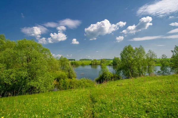 Bahar fotoğrafı, söğüt ağacı, parlak yeşillik, bulutlu mavi gökyüzü, harika bahar havası.