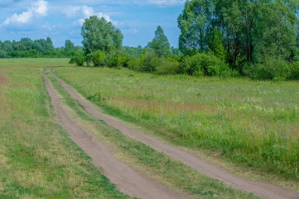 Letni Krajobraz Chmury Piorunów Błękitne Niebo Pola Łęgowe Aromat Letnich — Zdjęcie stockowe