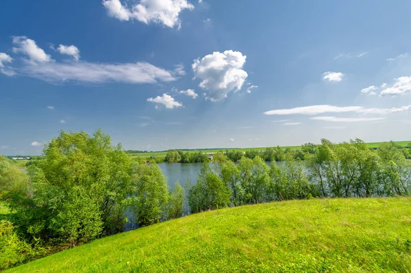 Bahar fotoğrafı, söğüt ağacı, parlak yeşillik, bulutlu mavi gökyüzü, harika bahar havası.