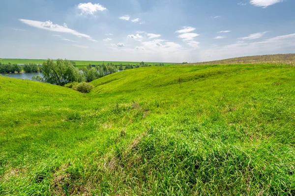 Foto Primavera Lago Ricoperto Salice Verde Brillante Cielo Blu Con — Foto Stock