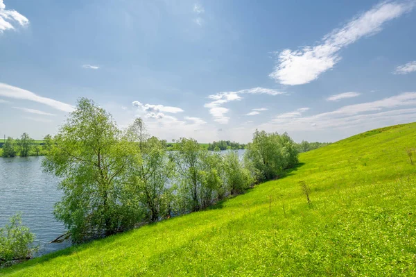 Bahar fotoğrafı, söğüt ağacı, parlak yeşillik, bulutlu mavi gökyüzü, harika bahar havası.