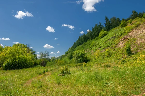 Yaz fotoğrafçılığı, su çayırları, nehir taşkın ovaları, dağdan çekilmiş fotoğraflar. Nehrin kenarında yemyeşil çimenler, çam, huş ağacı, fındık ağacı yetişir. sıcak yaz günleri