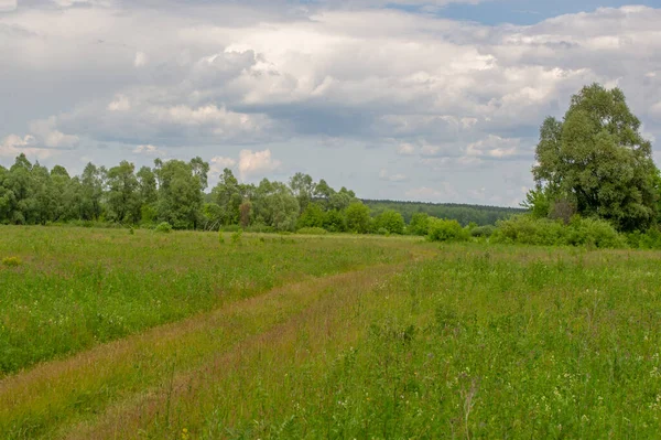 Yaz manzarası, gök gürültülü bulutlar, mavi gökyüzü, sel basmış çayır tarlaları, yaz renklerinin kokusu ve çeşitli kır çiçekleri.