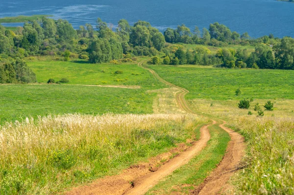 Yaz manzarası. Dünyanın Avrupa bölgesindeki bir nehir. Güneşli sıcak bir gün. Yeşil ağaçlar, çimenler. Mavi gökyüzü küçük bir bulut örtüsüyle.