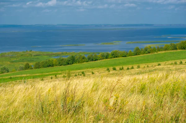 Yaz manzarası. Dünyanın Avrupa bölgesindeki bir nehir. Güneşli sıcak bir gün. Yeşil ağaçlar, çimenler. Mavi gökyüzü küçük bir bulut örtüsüyle.