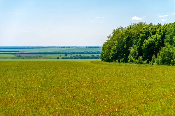 Yaz manzarası, biçilmiş tarlalar biçilmiş tarlalar, biçilmiş yoncalar.