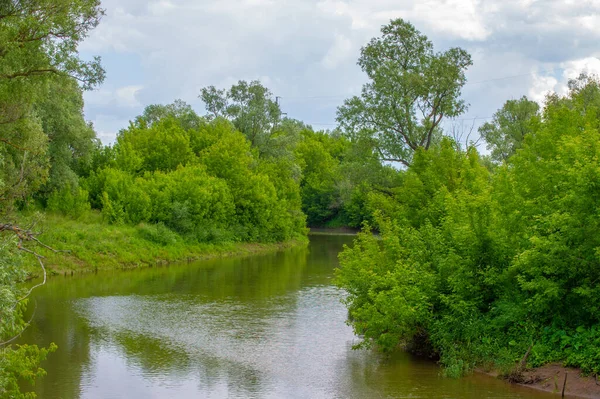 Yaz manzarası, gök gürültülü bulutlar, mavi gökyüzü, sel basmış çayır tarlaları, yaz renklerinin kokusu ve çeşitli kır çiçekleri.