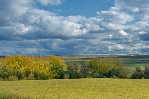 Herbstlandschaftsfoto Waldlandschaft Eines Europäischen Mischwaldes Der Herbstzeit Große Blaue Wolken — Stockfoto
