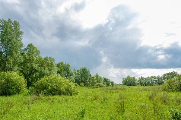 Letní Krajina Bouřkové Mraky Modrá Obloha Luční Louky Vůně Letních — Stock fotografie