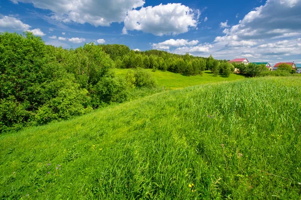 Yaz manzarası, kırsal alan, parlak yeşil çimenler ve ağaçlar, beyaz bulutlu mavi gökyüzü, harika yaz havası.