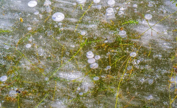 Ulici Mráz Led Řece Ledové Bubliny Zaseknuté Ledu Neobvykle Barevná — Stock fotografie