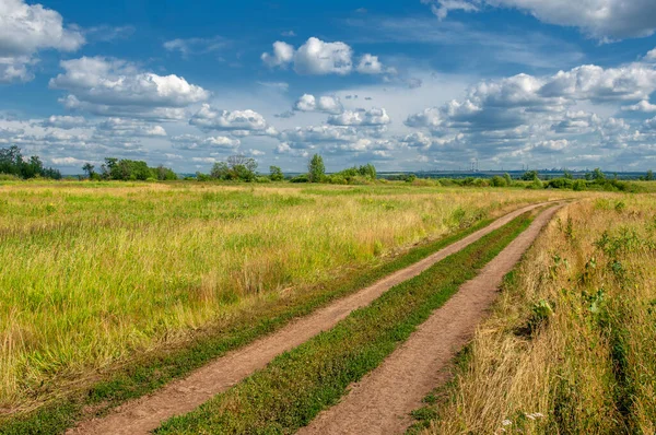Yaz fotoğrafı. Sel ovaları (veya sel ovaları), nehir kıyısında mevsimsel sellere eğilimli bir çayır ya da çayır alanıdır.
